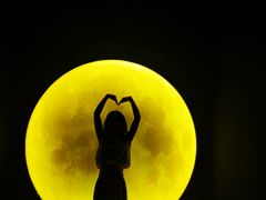 -深圳独角兽星空艺术馆