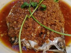 -老闵田螺馆·南昌市井菜·特色小吃(总店)