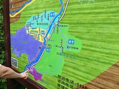 -汤旺河林海奇石景区