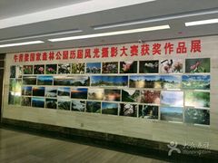 -牛背梁国家森林公园