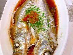 -同庆楼(滨湖万达广场店)