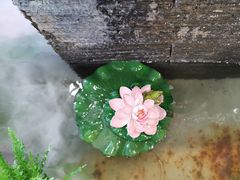 -洞庭家宴·头牌甲鱼(广渠门店)