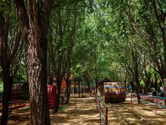 -西部长青自然儿童乐园