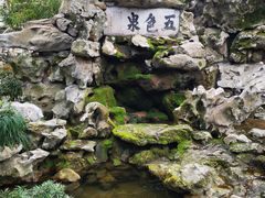 -上海醉白池公园