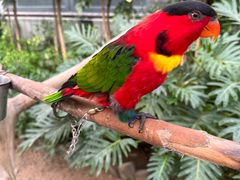 -南宫五洲植物乐园