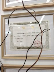 -ZELL·泽尔医疗美容
