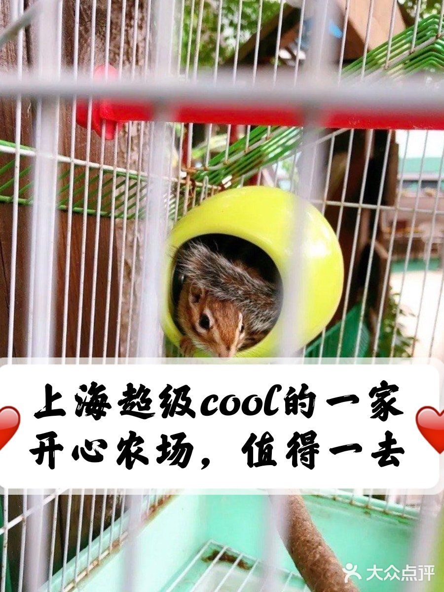 上海超级cool的一家开心农场，值得一去！