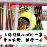 上海超级cool的一家开心农场，值得一去！