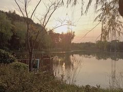 -昆山城市生态森林公园