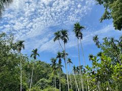 -中国科学院西双版纳热带植物园
