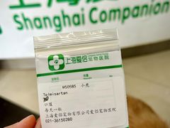 -爱侣宠医·鹦鹉专科·小型哺乳类·异宠专科(灵石路店)