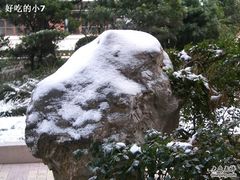 -上海市位育初级中学