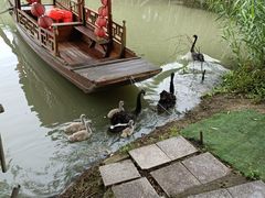 -长兴太湖图影湿地文化园