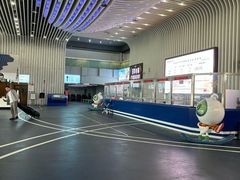 -绍兴启迪乔波冰雪世界