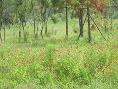 -贵阳市花溪国家城市湿地公园