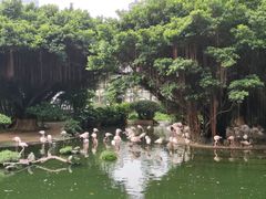 -九龙公园