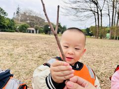 -金点蒙氏国际教育(悠然校区)