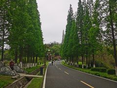 -宜兴龙背山森林公园