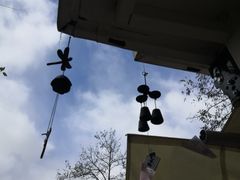 -风车面包