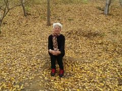 -千年银杏谷文化旅游区