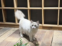 -邈墨茶馆(大兜路1号店)