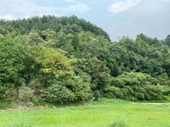 -素山寺森林公园