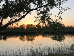 -大兴滨河森林公园