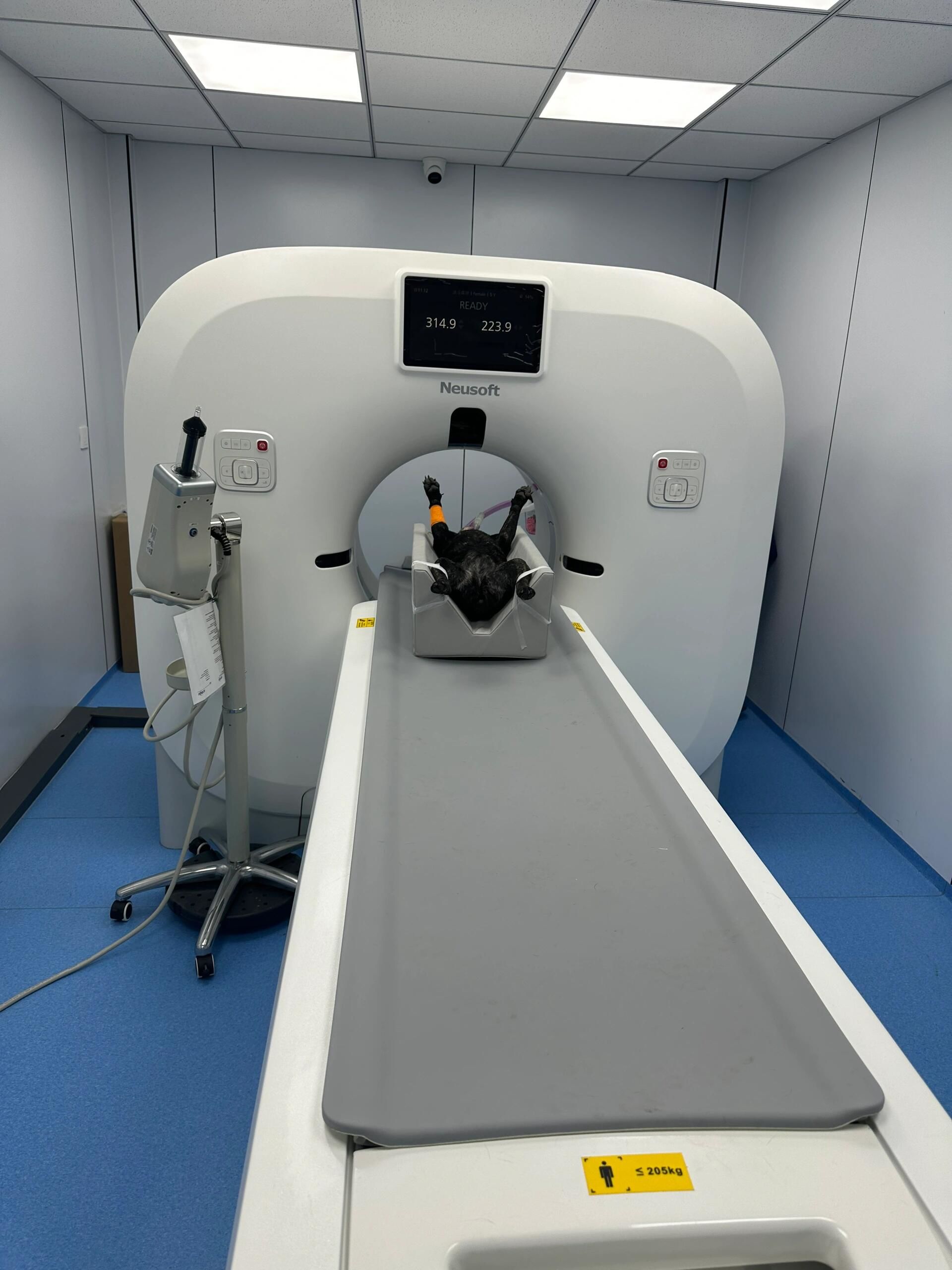 用科技守护宠爱,让每一份安心都有ct的守护