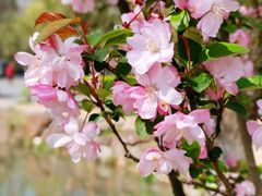 -大宁郁金香公园-停车场