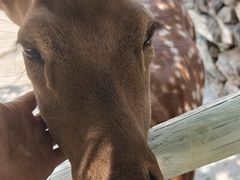 -西部长青自然儿童乐园