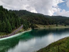 -武陵山森林公园