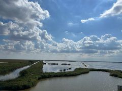 -盐城丹顶鹤湿地生态旅游区