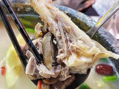 墨脱石锅东山羊-墨脱石锅椰子鸡•香草鸭•东山羊(大东海店)