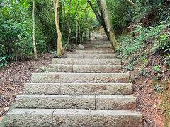 -梧桐山风景名胜区