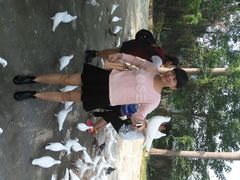 android_upload_pic-大湾区中央湿地公园