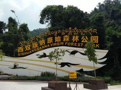 -西双版纳原始森林公园