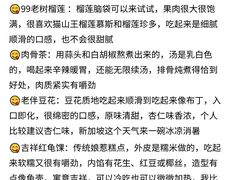 -圣淘沙天际线斜坡滑车