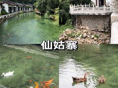-姑婆山旅游区