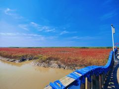 -红海滩国家风景廊道