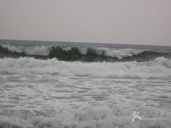 -西涌国际滨海旅游区