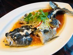 -新天世纪中餐厅