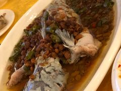 -胖大姐黄辣丁鱼庄(新津店)
