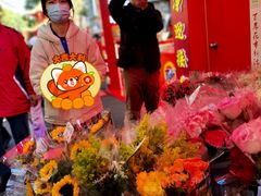 -越秀西湖花市(广州城市广场花卉店)