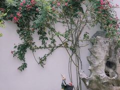 -苏州冶园园林民宿(太湖西山风景区店)