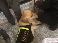 -常州奔牛国际机场