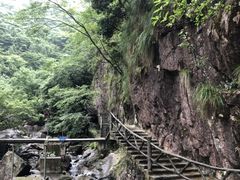-白云源风景区