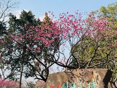 -无锡梅园公园