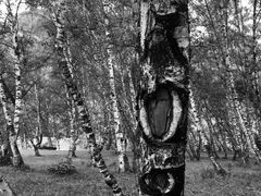 -互助北山国家地质公园漂流