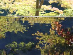 -常寂光寺