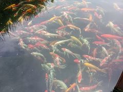 -宁波杭州湾国家湿地公园
